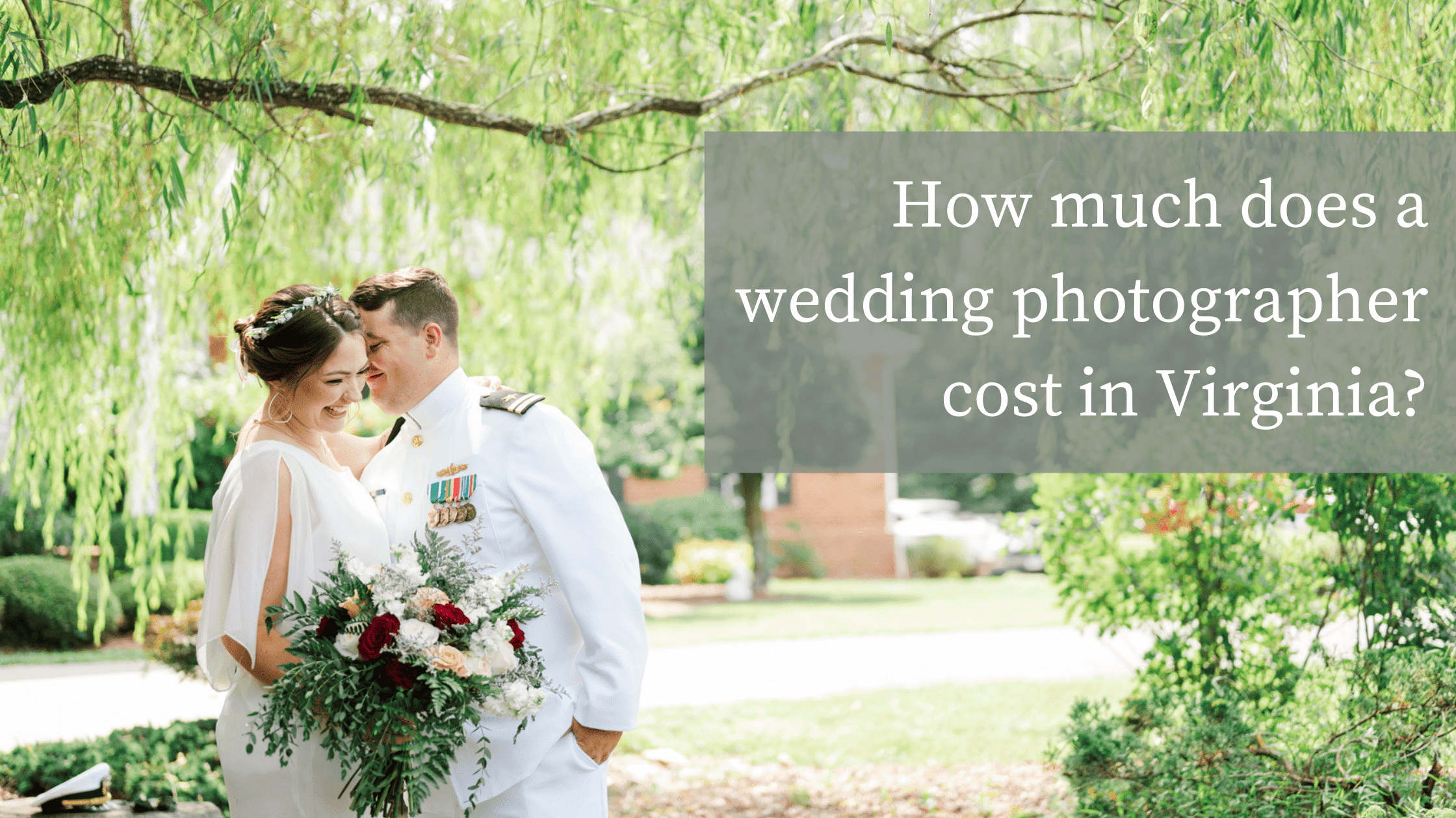 Wedding photography of a bride and groom under a willow tree snuggling together with text overlay that reads: "How much does a wedding photographer cost in Virginia"