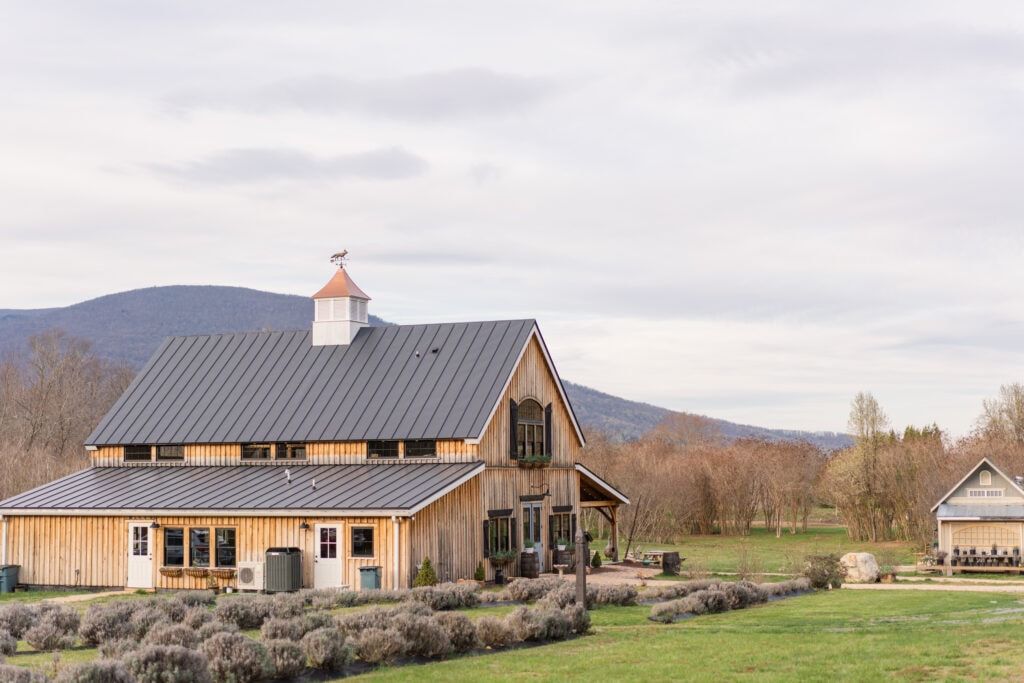 Landscape of Silver Fox Lavender Farm venue showcasing the Nellysford mountain views and blooming lavender field in the spring