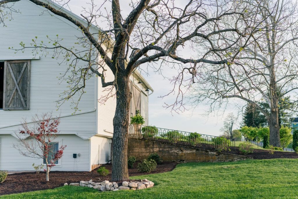 Golden hour beside the barn at Sky Ridge Farm, a barn wedding venue in Waynesboro, VA, near the Blue Ridge Mountains. Photo by Wedding Phootography by Jo Mahaney, a Virginia wedding photographer.