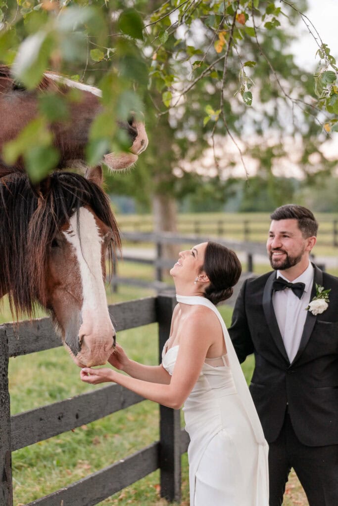 A bride in a white dress and a groom in a black tuxedo smile as the bride feeds a brown horse over a black wooden fence in a green outdoor setting.