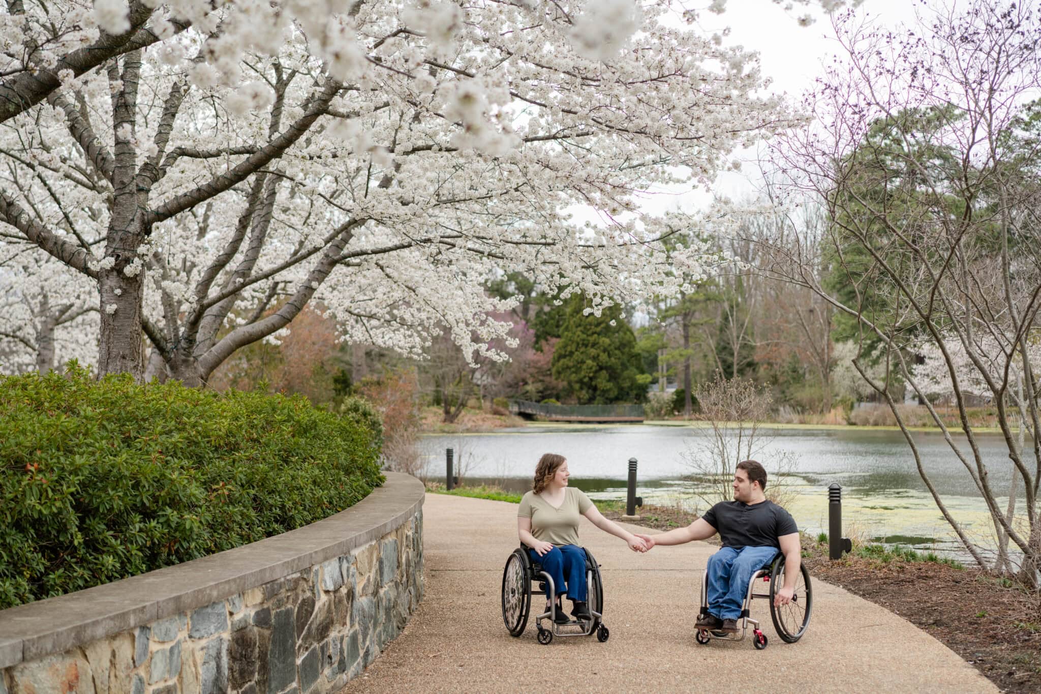 Two wheelchair users hold hands during a romantic engagement session, traveling along a paved path lined with blooming cherry blossom trees near a peaceful pond in the park.