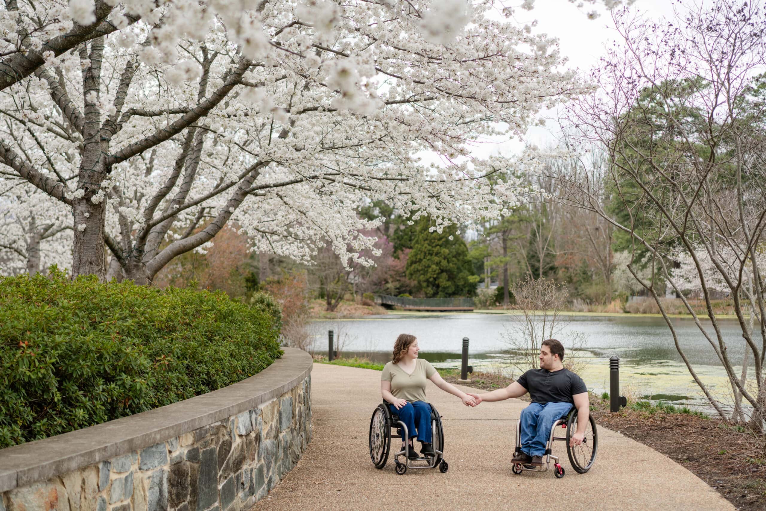 Two wheelchair users hold hands during a romantic engagement session, traveling along a paved path lined with blooming cherry blossom trees near a peaceful pond in the park.
